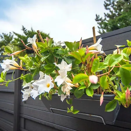 Appartement Amsterdam S *