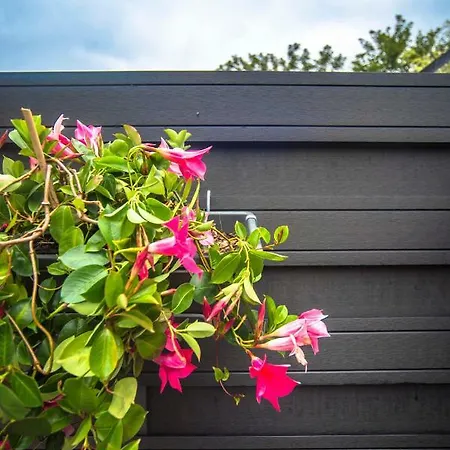 Amsterdam S 公寓 赞德沃特