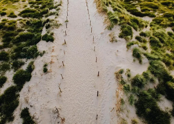 Amsterdam S Appartement Zandvoort