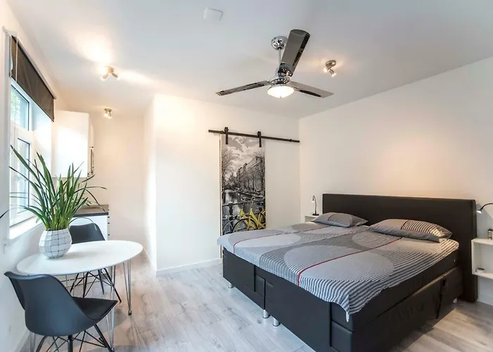 Amsterdam S Appartement Zandvoort