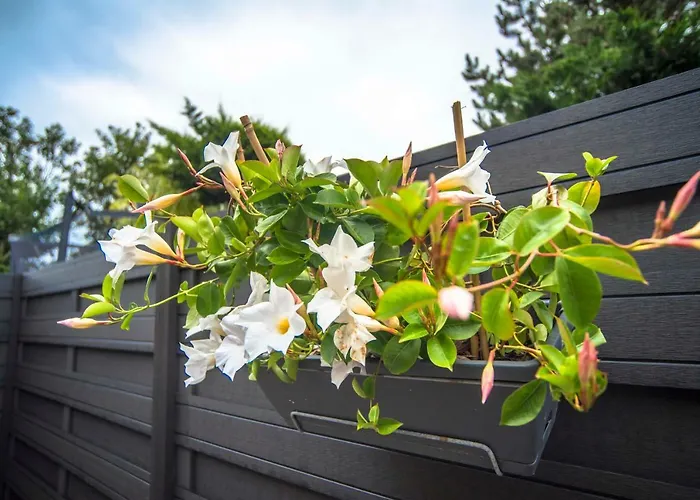 Appartement Amsterdam S *