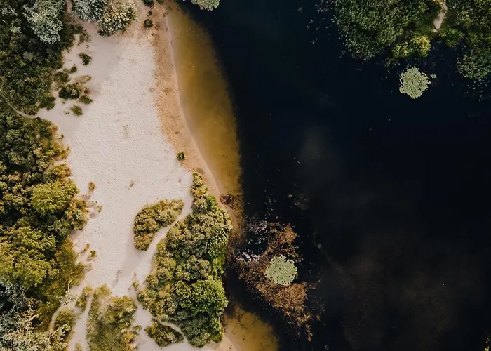 Apartamento Amsterdam S