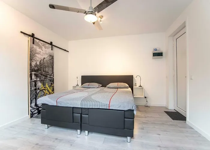 Amsterdam S Zandvoort